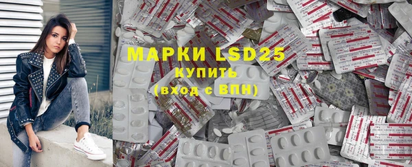 дживик Майский