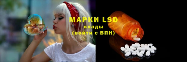 дживик Майский