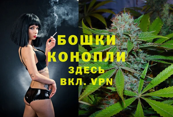 гашик Магас