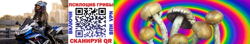 Псилоцибиновые грибы прущие грибы Новоуральск